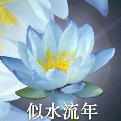 剑凌苍穹木勺版下载