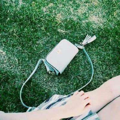 宝宝爱自然手机游戏下载安装