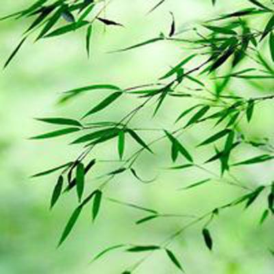 果盘究极幻想手游下载